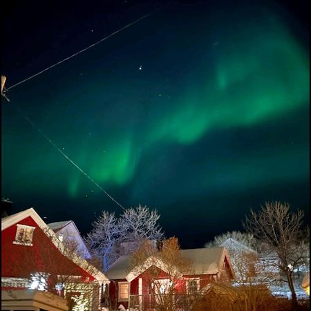 Nydelig Hytte I Kabelvag Lofoten Esterno foto