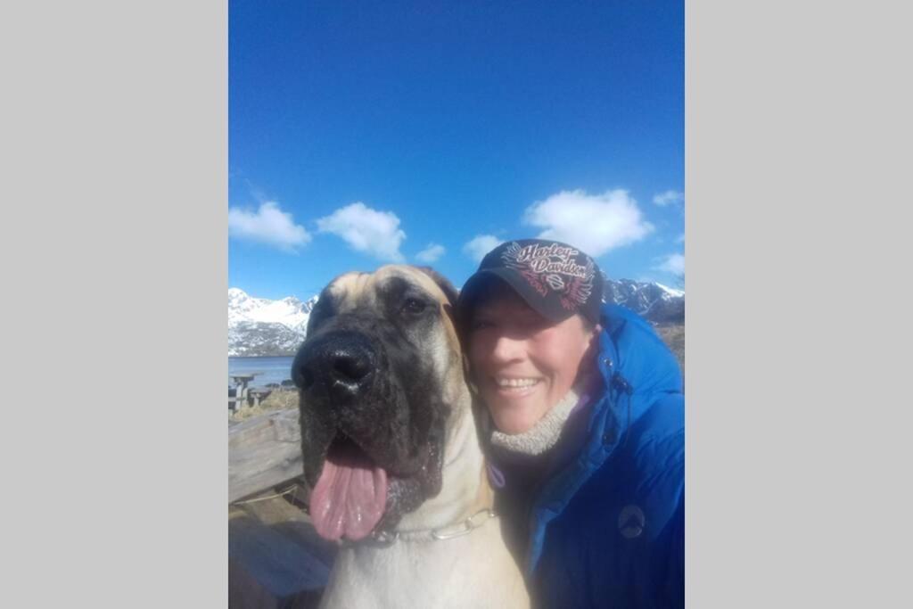 Nydelig Hytte I Kabelvag Lofoten Villa Esterno foto