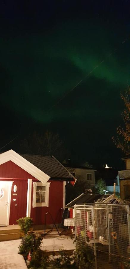 Nydelig Hytte I Kabelvag Lofoten Villa Esterno foto